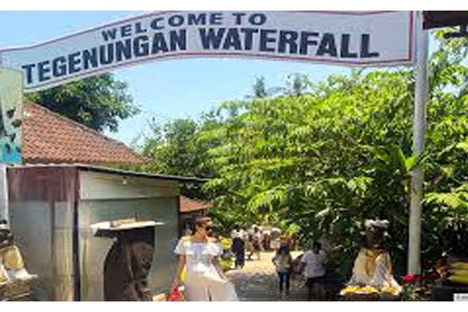 All Ticket Inclusive-Blue Lagoon Snorkeling-Ubud Monkey Forest & Ubud Waterfall - Inclusions and Highlights