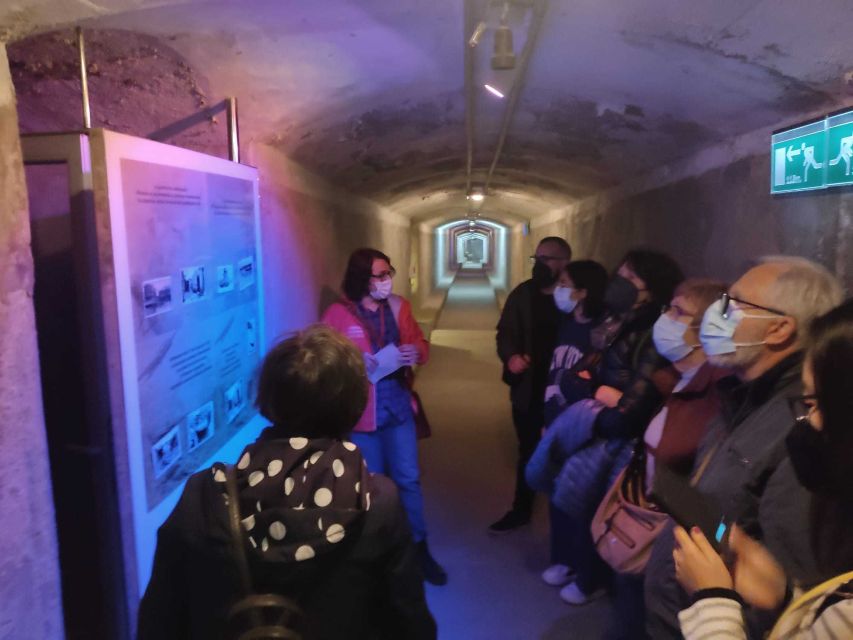 Almeria: Spanish Civil War Shelters Ticket and Official Tour