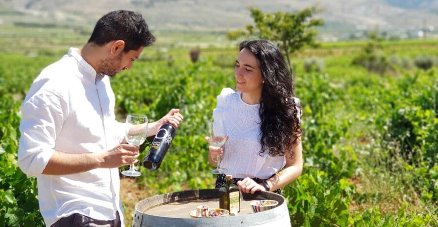 Almeria: Wine Tour and Tasting in Organic Winery