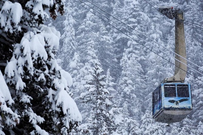 Alyeska Tram - A Self-Guided Tour - Tour Highlights