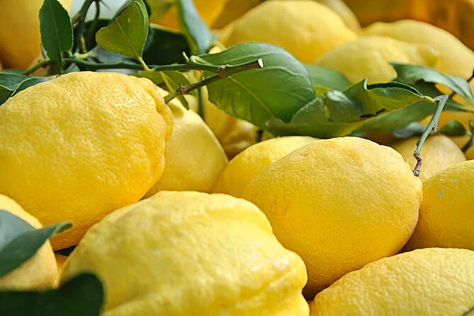 Amalfi Coast - Maiori: Path of Lemons, Tour With Tasting - Overview of the Amalfi Coast Tour