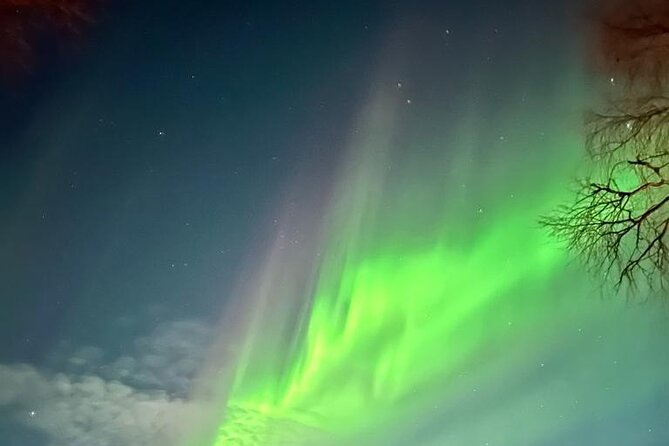 Amazing Aurora BBQ in the Best Spot in Rovaniemi!