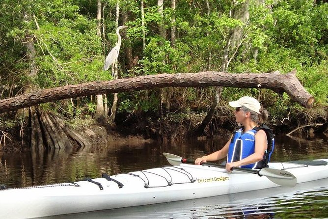 Amelia Island Area Kayak Rental on Lofton Creek With Adventures up the Creek - Explore Lofton Creek at Leisure