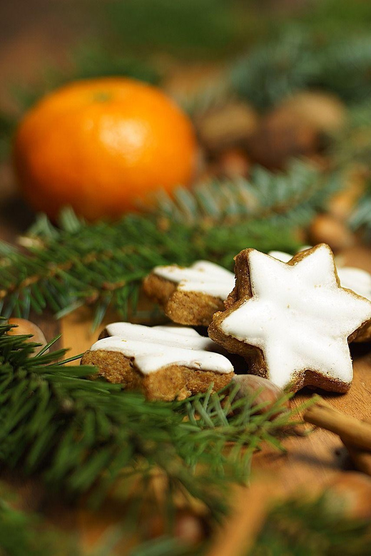 Amsterdam: Christmas Market Private Walking Tour - Tour Overview
