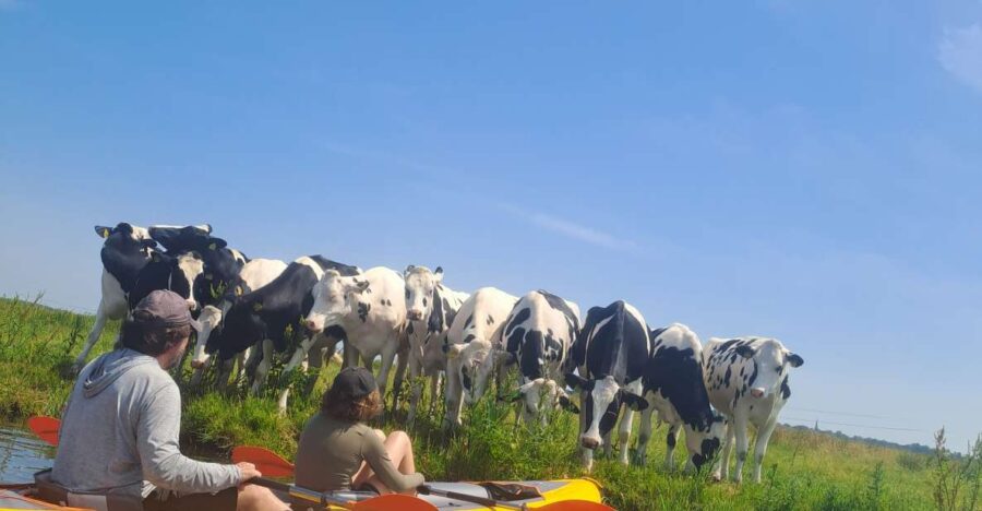 Amsterdam: Countryside Bike and Kayak Guided Tour - Tour Overview