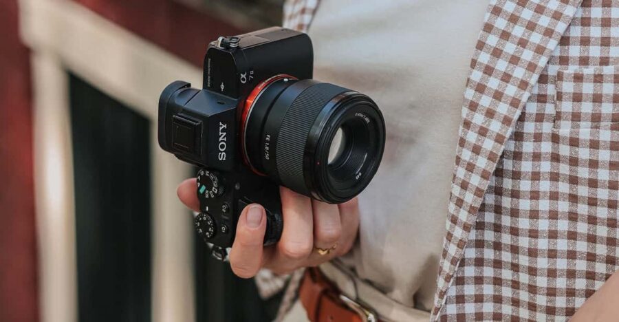 Amsterdam: Professional Photoshoot - Overview and Pricing