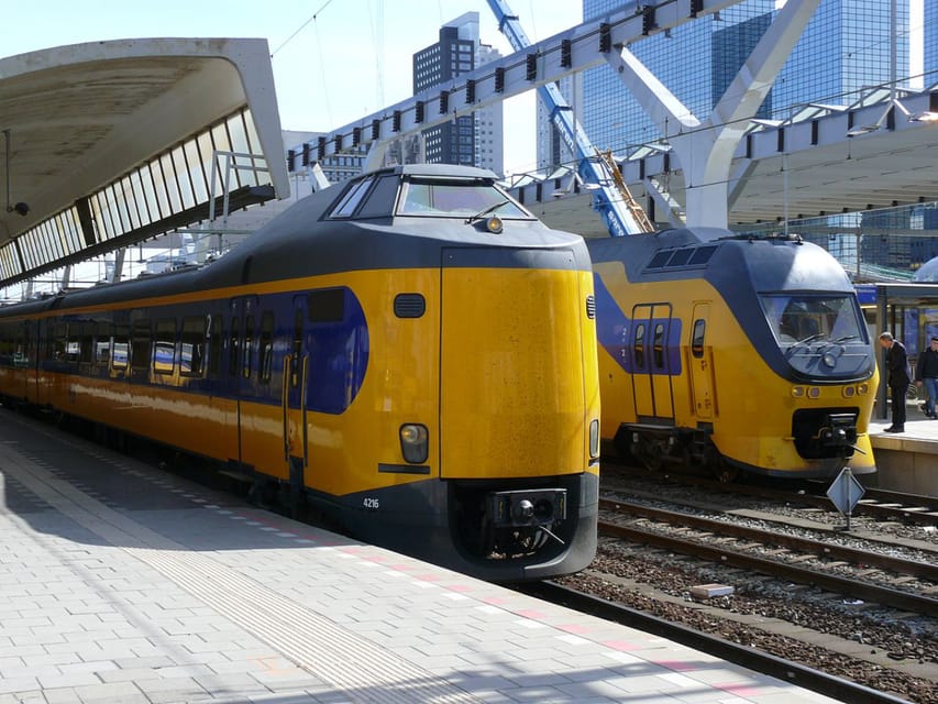 Amsterdam: Train and Bus To/From Arnhem Burger Zoo