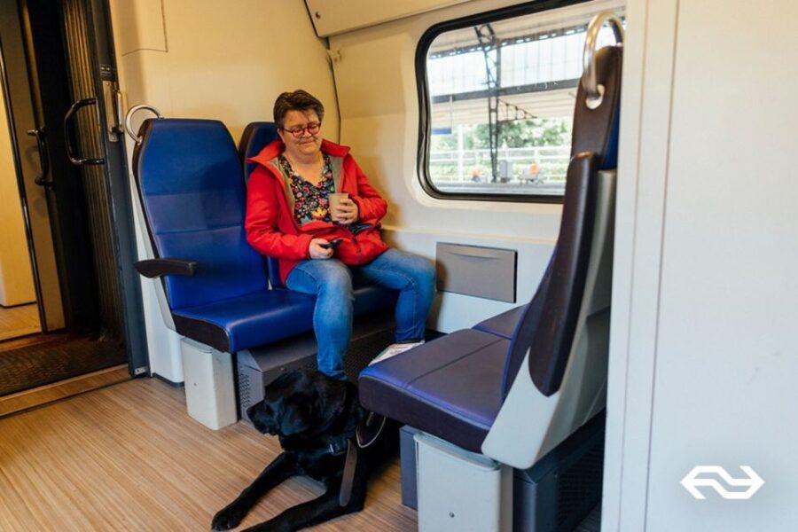 Amsterdam: Train Transfer Amsterdam From/To Rotterdam - Booking Details and Pricing