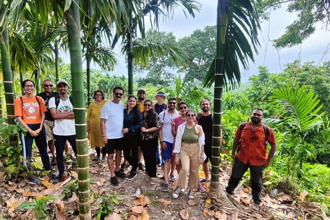 Ancient Lava Stream Trek Through Dense Tropical Forest.