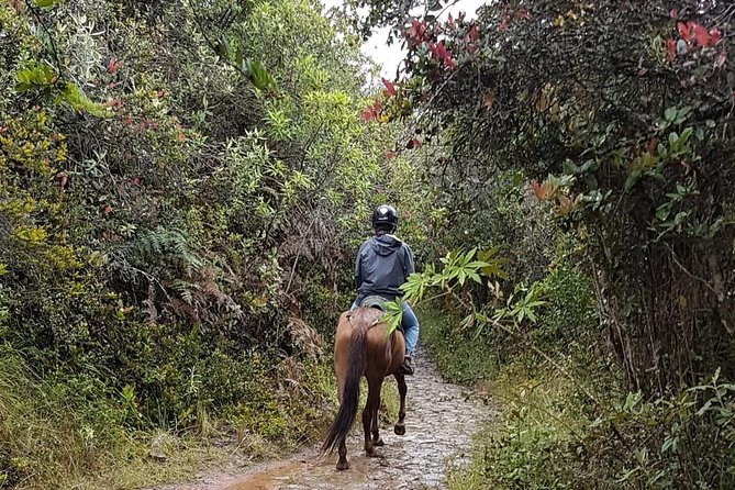 Andes Mountains Horseback Riding - Tour Overview