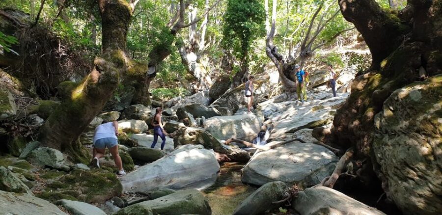 Andros: Achla River Trekking to the Waterfall - Activity Overview