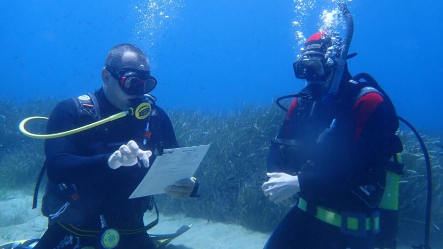 Andros: Get Your Padi Open Water Certificate!