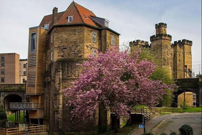 Annual Admission Newcastle Castle Ticket - Overview of Newcastle Castle