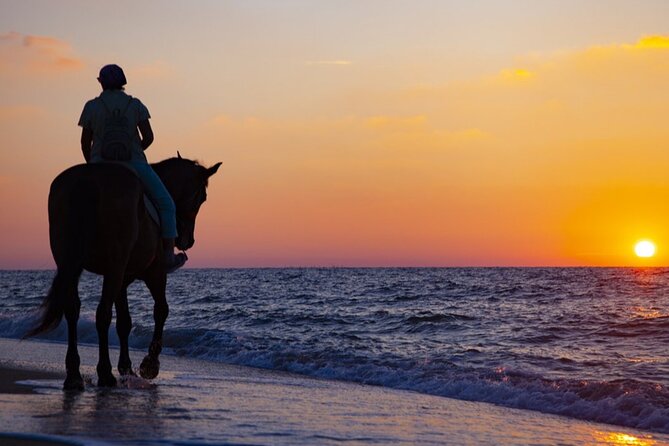 Antalya Horse Riding On Beach And Through The Forests For 2 Hours - Meeting and Pickup Details