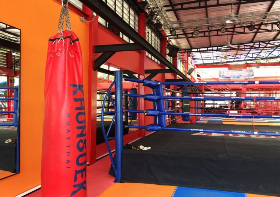 Ao Nang, Krabi: 90-Minute Muay Thai Lesson - Activity Overview
