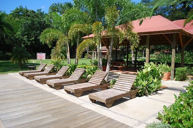 Appleton Estate Admission & Rum Tasting Plus YS Falls Visit