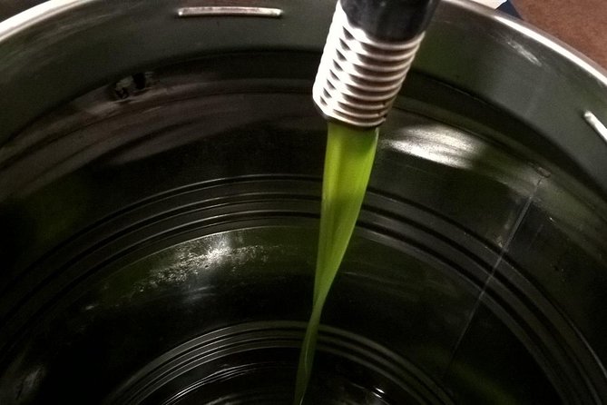 Apprentice Olive Oil Taster for a Day! - Experience Overview