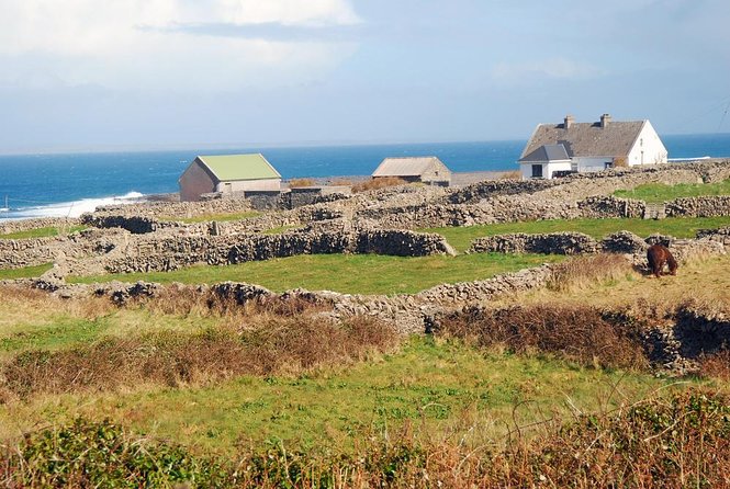 Aran Islands Bike Tour With Tea & Scones - Day Trip to Inisheer From Doolin - Tour Overview