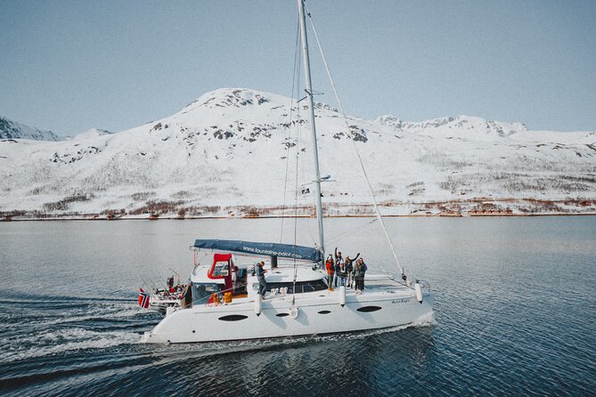 Arctic Fjordcruise & Safari in Tromso With Luxury Catamaran