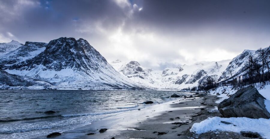 Arctic Nature Tour From Tromsø