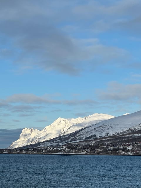 Arctic Nature Tour in Kvaløya With Hot Food and Drinks