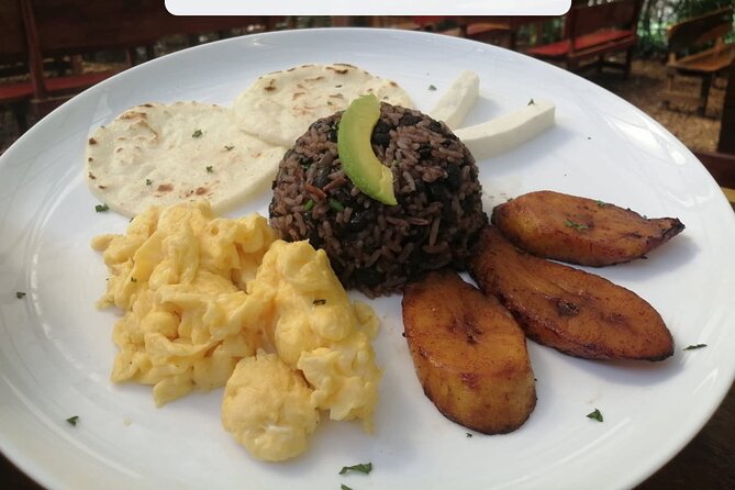 Arenal Volcano and Hot Springs Day Trip From Guanacaste