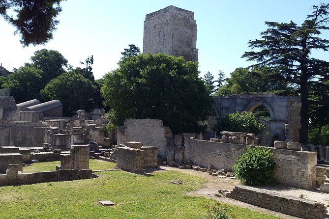 Arles and Camargue Small-Group Half-Day Tour From Avignon