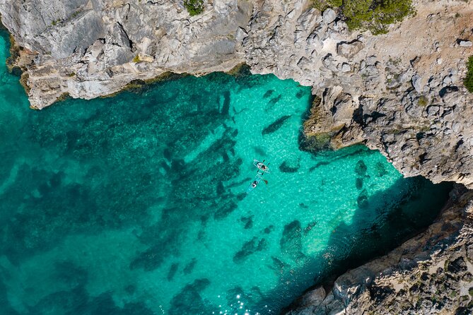Arrábida: Guided Transparent Kayaking Tour