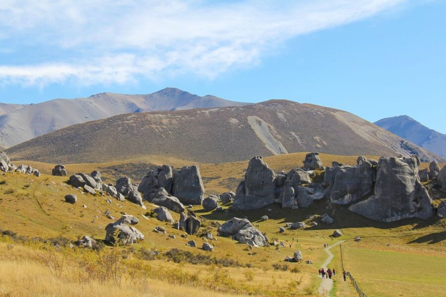 Arthurs Pass: TranzAlpine Train and Castle Hill Day Tour