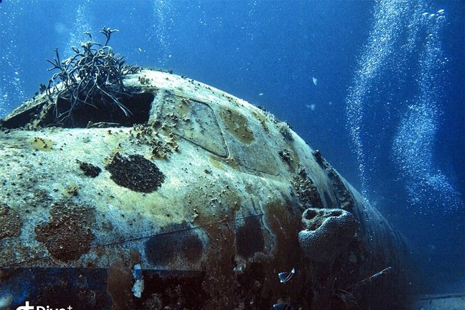 Aruba 2-Tank Guided Dive for Certified Divers - Overview of the Experience