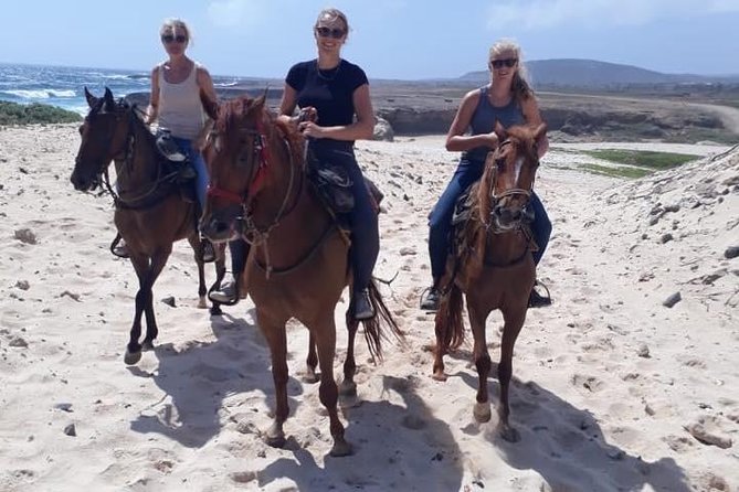 Aruba 2,5 Hrs Horseback Riding for Advanced Riders - Experience for Advanced Riders