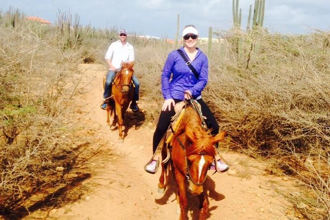 Aruba Horseback Riding Tour For Advanced Riders - Health and Safety Guidelines