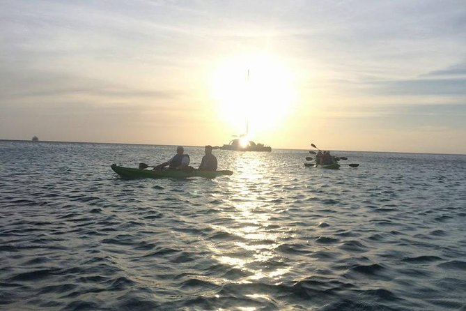 4 Best Canoe And Kayak Experiences In Aruba