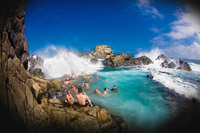 7 Best Safari Tours In Aruba