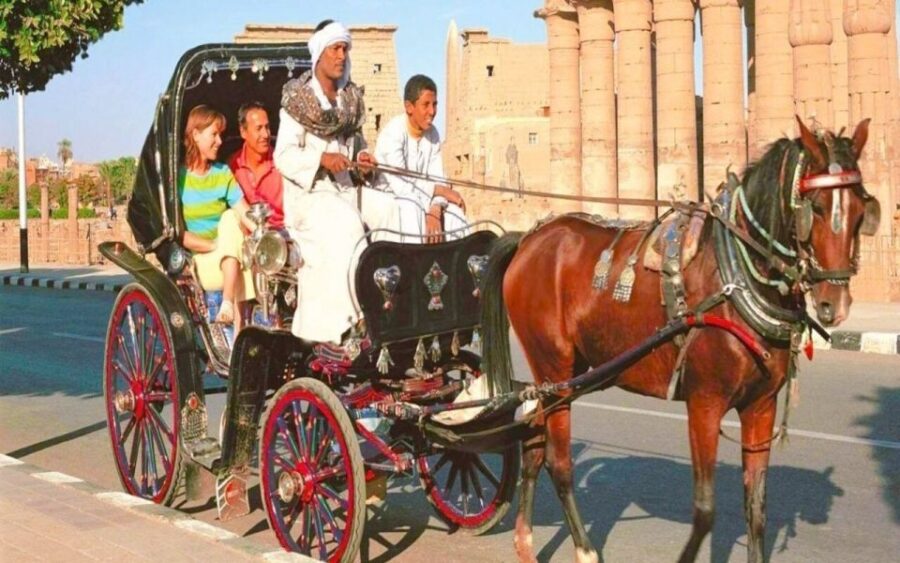 2 Best City Tours In Aswan