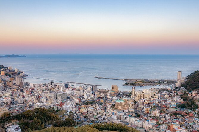 2 Best Guided Tours In Shizuoka Prefecture
