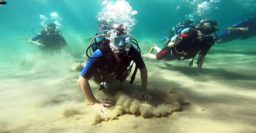 Athens East Coast: Discover Scuba Diving in Nea Makri - Overview of the Activity