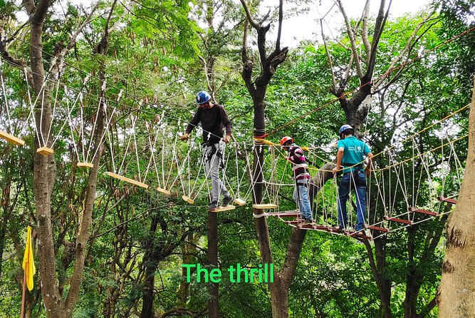 3 Best Quad Bike And ATV Tours In Dharmasala