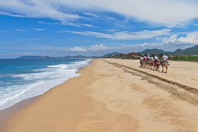 ATV Tour, Camel Ride, Tequila Tasting and Mexican Buffet Lunch