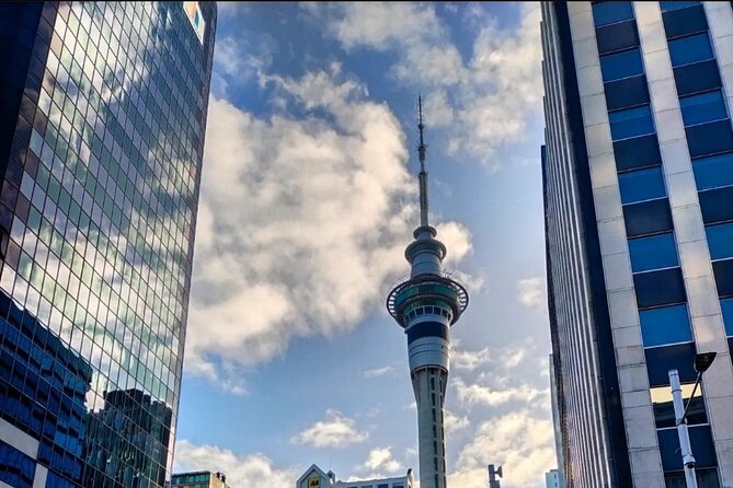 Auckland City Highlights Half Day Tour