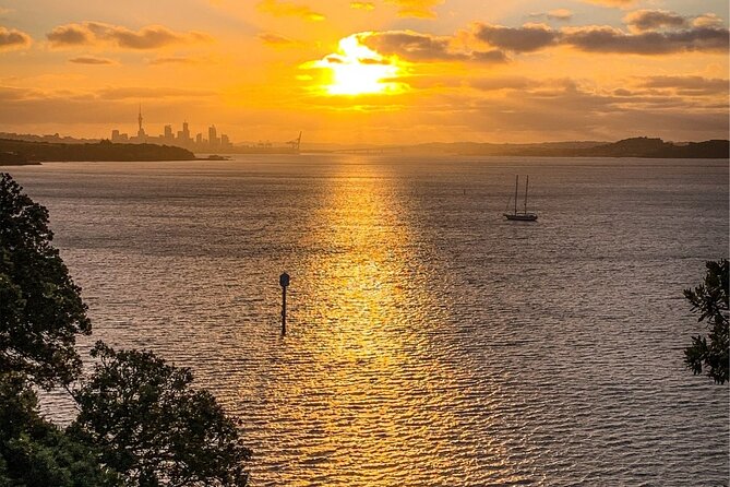 Auckland City Of Sails Half Day Tour