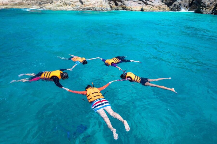 Auckland: Guided Snorkeling and Island Exploration Tours