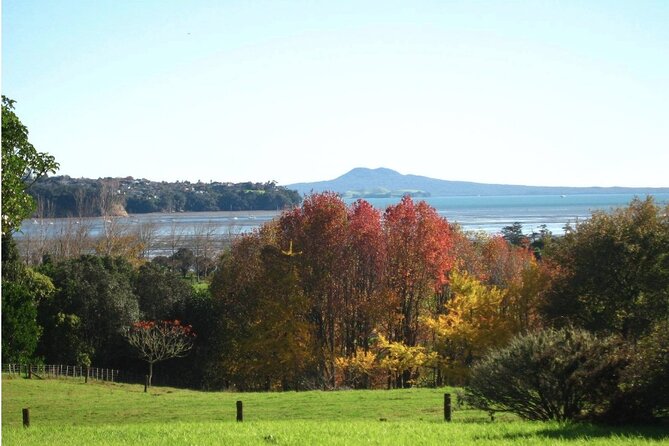 Auckland Nature Tour