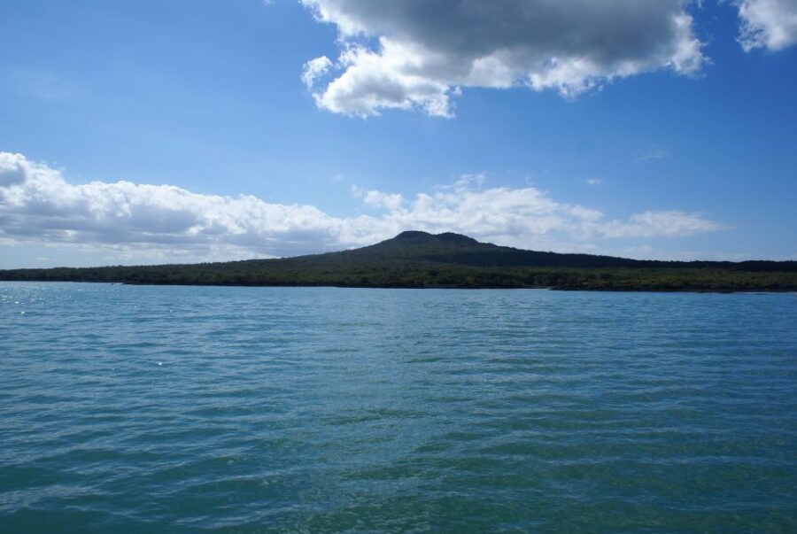 Auckland: Tikapa Moana Whale and Dolphin Wildlife Cruise