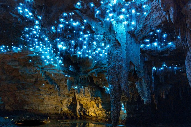 Auckland to Rotorua via Waitomo Caves and Hobbiton Movie Set One-Way Private
