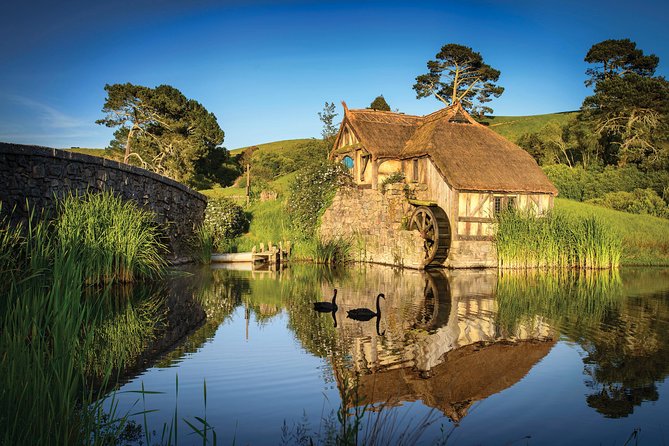 Auckland to Rotorua via Waitomo Caves One-Way Private Tour - Tour Overview