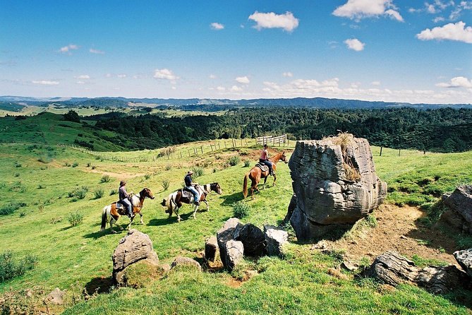 Auckland to Waitomo Caves Private Tour