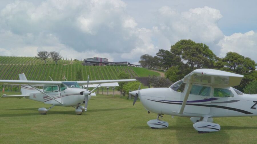 Auckland: Waiheke Island Wine and Food Tasting With Flights