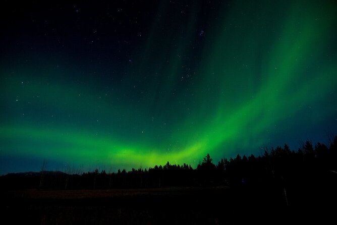 Aurora Borealis Quest: Private Yukon Nighttime Tour