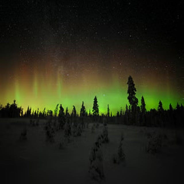 Aurora Trek With Snowshoes